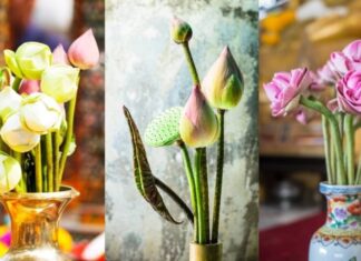 The Ultimate Guide to Ancestral Worship: Offerings of Fragrant Flowers for Ancestral Blessings and Prosperity