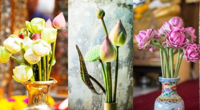 The Ultimate Guide to Ancestral Worship: Offerings of Fragrant Flowers for Ancestral Blessings and Prosperity