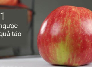 The Secret to Slicing Apples Without Browning