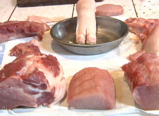 “The Ultimate Guide to Choosing Antibiotic-Free Pork”