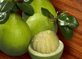 How to Select the Juiciest Grapefruits