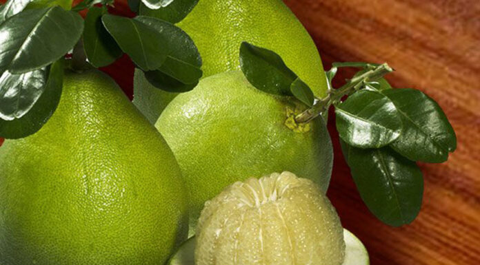 How to Select the Juiciest Grapefruits