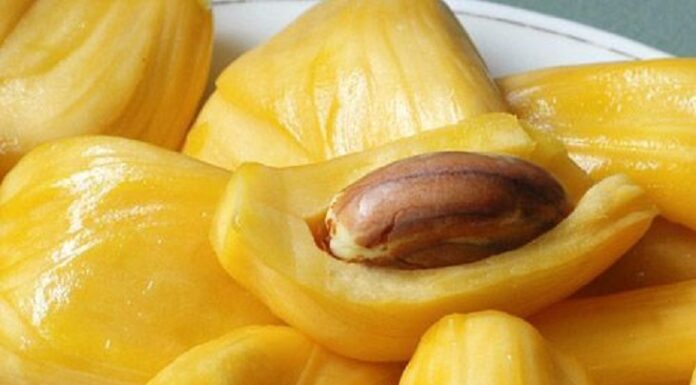 The Secret to Choosing Ripe Jackfruit Without Resorting to Artificially Ripened Produce