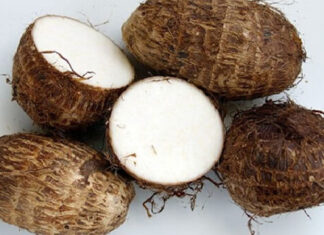 The Ultimate Guide to Selecting the Finest Taro