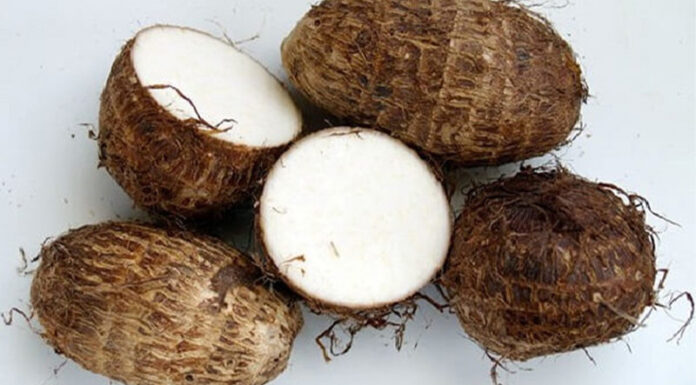 The Ultimate Guide to Selecting the Finest Taro