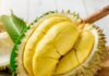 The King of Fruits: Unveiling the Secret to Selecting the Perfect Durian