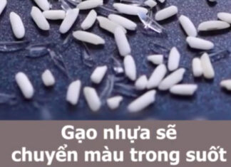 How to Spot Contaminated and Fake Food with Simple Home Tests