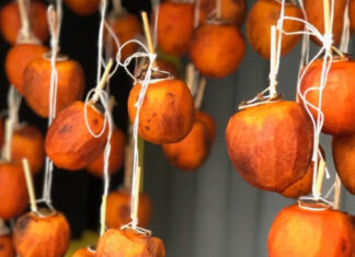 How to Tell the Difference Between Air-Dried and Dehydrator-Made Pink Gummies