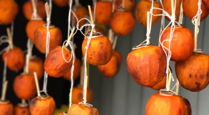 How to Tell the Difference Between Air-Dried and Dehydrator-Made Pink Gummies