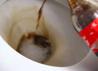 The Fizz Flush: A Refreshing Way to Clean Your Toilet