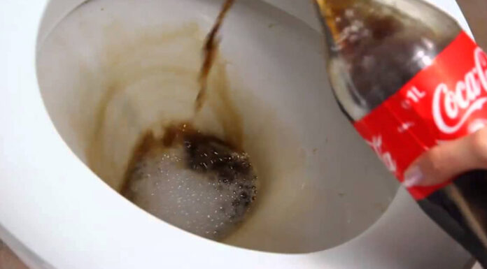 The Fizz Flush: A Refreshing Way to Clean Your Toilet