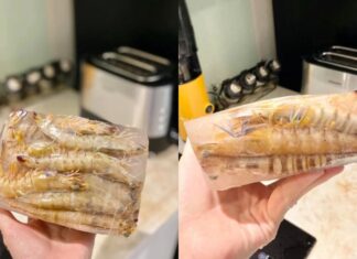 The Ultimate Guide to Freezing Shrimp: Keep It Fresh and Sweet for Months
