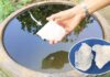 Purifying Flood Water: Expert-Approved Steps for Safe and Clean Drinking Water