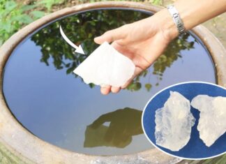 Purifying Flood Water: Expert-Approved Steps for Safe and Clean Drinking Water