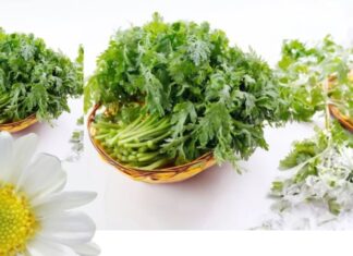 “Supercharge Your Health with This Winter Veggie: A Bunch of This Is Equal to Ten Dandelion Bouquets — Don’t Miss Out!”