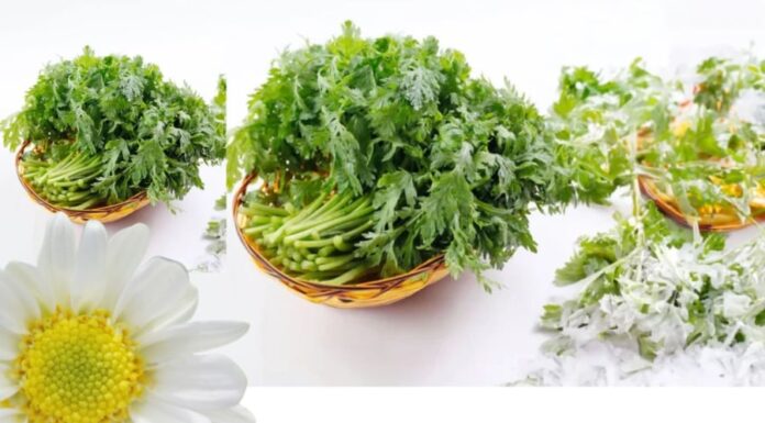 “Supercharge Your Health with This Winter Veggie: A Bunch of This Is Equal to Ten Dandelion Bouquets — Don’t Miss Out!”