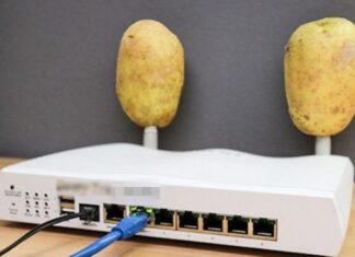 The Magic of Potatoes: Unlocking the Ultimate WiFi Boost