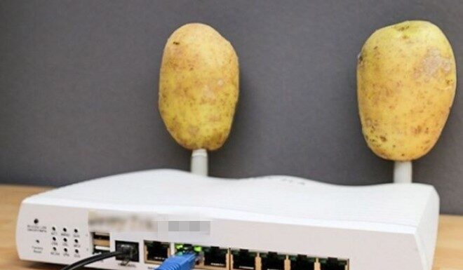 The Magic of Potatoes: Unlocking the Ultimate WiFi Boost