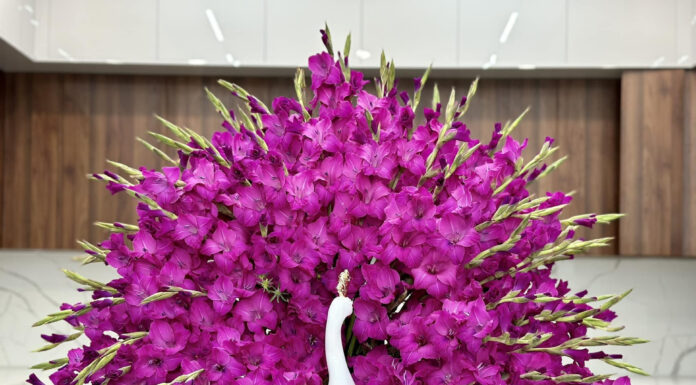 The Art of Arranging Lilies: A Guide to a Long-lasting and Luxurious Display by a Skilled 8X Hai Phong Florist