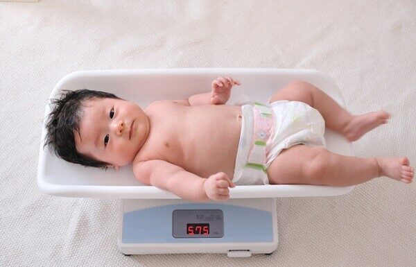 “Birth Weight and Brain Power: Unraveling the True Determinants of Intelligence”