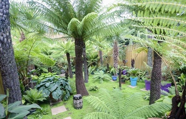 The 5 Trees of Terror: Blocking Fortune and Draining Luck, Be Gone!