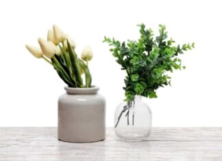 Is Having Fake Plants at Home Really Bad for Feng Shui?