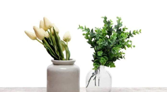 Is Having Fake Plants at Home Really Bad for Feng Shui?