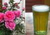 The Magical Elixir for Your Roses: Unlocking Thriving Growth, Abundant Buds, and Blossoms as Big as Bowls