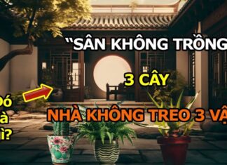 The Ultimate Guide to Home Decor: What Three Things Should You Avoid?