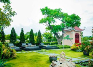 The 3 Don’ts for Grave-side Planting and 4 Don’ts for Bedside Placement: What Plant Species Fit This Bill?