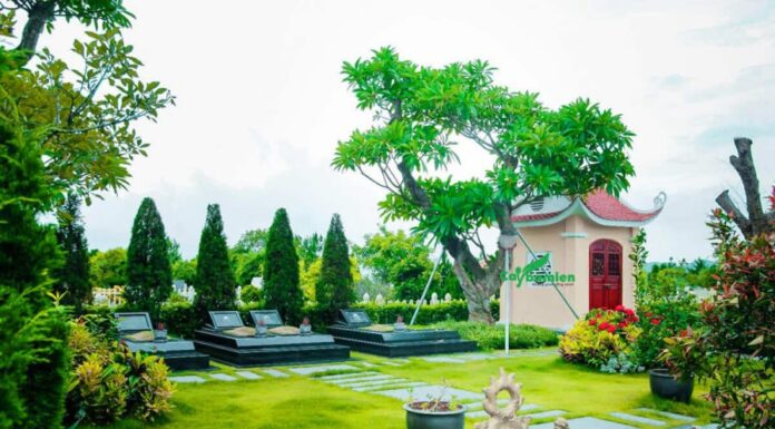 The 3 Don’ts for Grave-side Planting and 4 Don’ts for Bedside Placement: What Plant Species Fit This Bill?