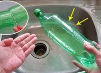 The Magic of Cutting Plastic Bottles in Half for Your Kitchen Sink