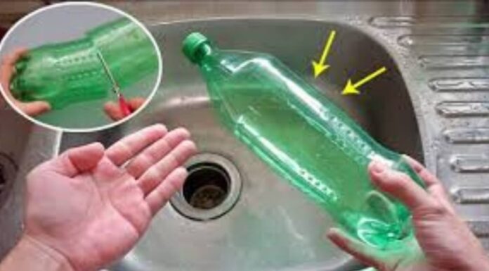 The Magic of Cutting Plastic Bottles in Half for Your Kitchen Sink
