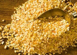 “The Secret to Year-Round Blooming Roses: A Single Ingredient to Fortify Your Plants Against Brown Spot Disease”