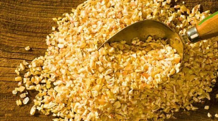 “The Secret to Year-Round Blooming Roses: A Single Ingredient to Fortify Your Plants Against Brown Spot Disease”