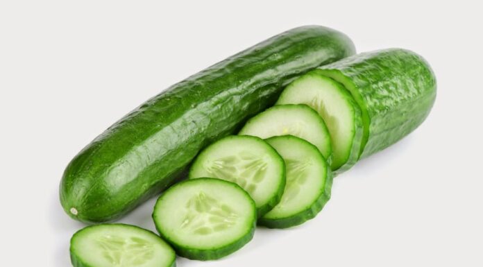 Unveiling the Ultimate Guide: Two Formulas for Healthy Hair in the Scorching Heat