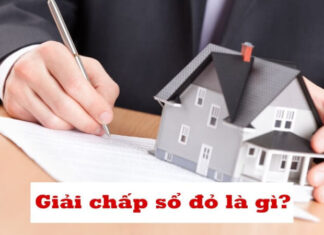 The Ultimate Guide to Understanding and Navigating the Red Book Release Procedure