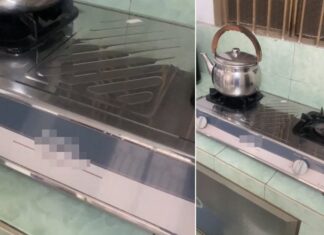 The 28-Year-Old Gas Stove That Still Shines Like a Mirror and the 37-Year-Old Dish Rack That Will Leave You Speechless