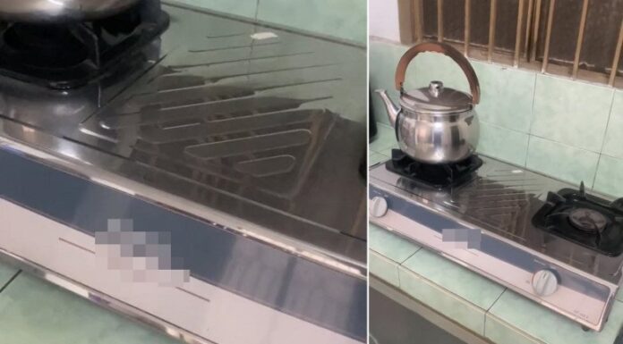The 28-Year-Old Gas Stove That Still Shines Like a Mirror and the 37-Year-Old Dish Rack That Will Leave You Speechless