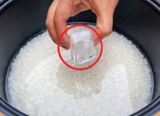 The Ultimate Rice Hack: Drop 2 Ice Cubes in Your Pot for Perfectly Fluffy Rice