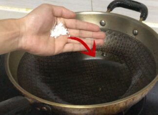 “A Secret Ingredient for Crispy Fried Food: A Pinch of Salt in Your Cooking Oil”