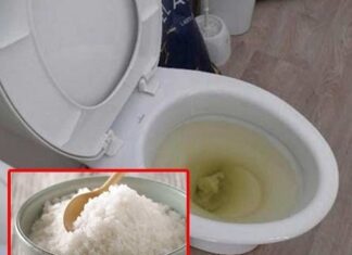 The Magic of Salt: Unlocking the Hidden Power in Your Toilet