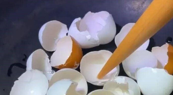 “The Magic of Eggshell Char: A Multipurpose, Cost-Effective Household Solution”