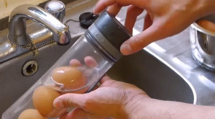“The Magic Egg Shell Solution: Transforming a Household Hassle into a Breeze”