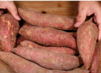 The Ultimate Guide to Buying Sweet Potatoes: Long and Thin or Short and Chubby?