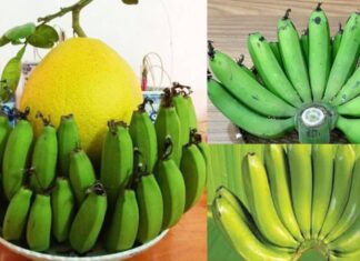 The Ancient Taboo: Unveiling the Mystery Behind the Forbidden Practice of Placing Bananas on the Ancestral Altar