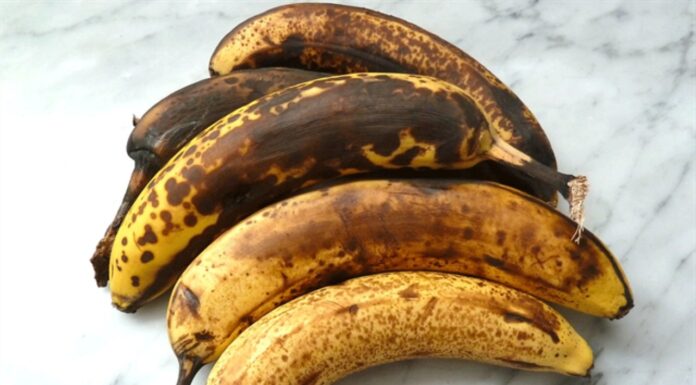 Why Do Bananas Turn Black So Quickly? – Unpeeling the Truth