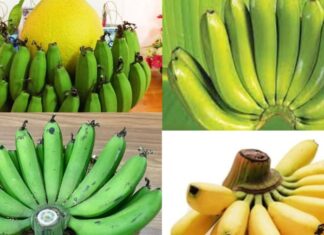 The 5 Fruits You Should Never Offer as a Lunar July Worship