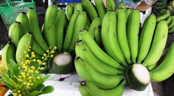 The Ultimate Guide to Fruit Offerings for the Mid-Autumn Festival: Attracting Abundance and Prosperity