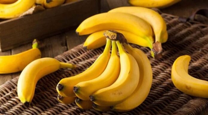 How to Distinguish Plantain and Banana: Which is the Healthier Fruit?